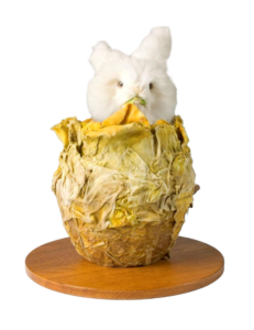 Konijn in de Kool - ca. 1911