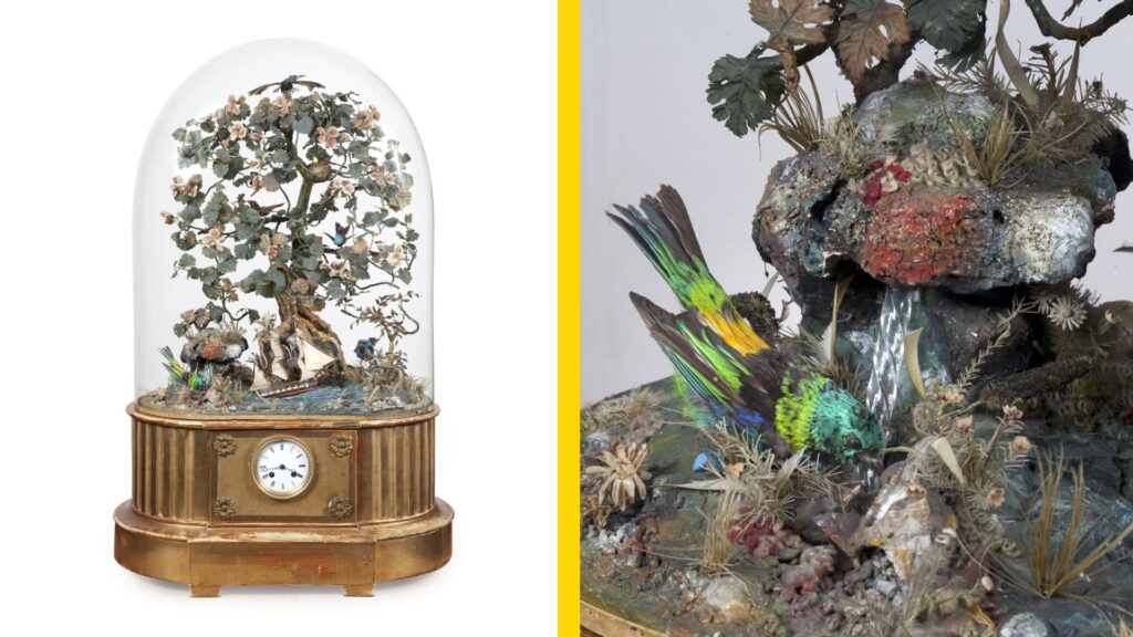 Kolibrieklok met detailfoto van een vogeltje